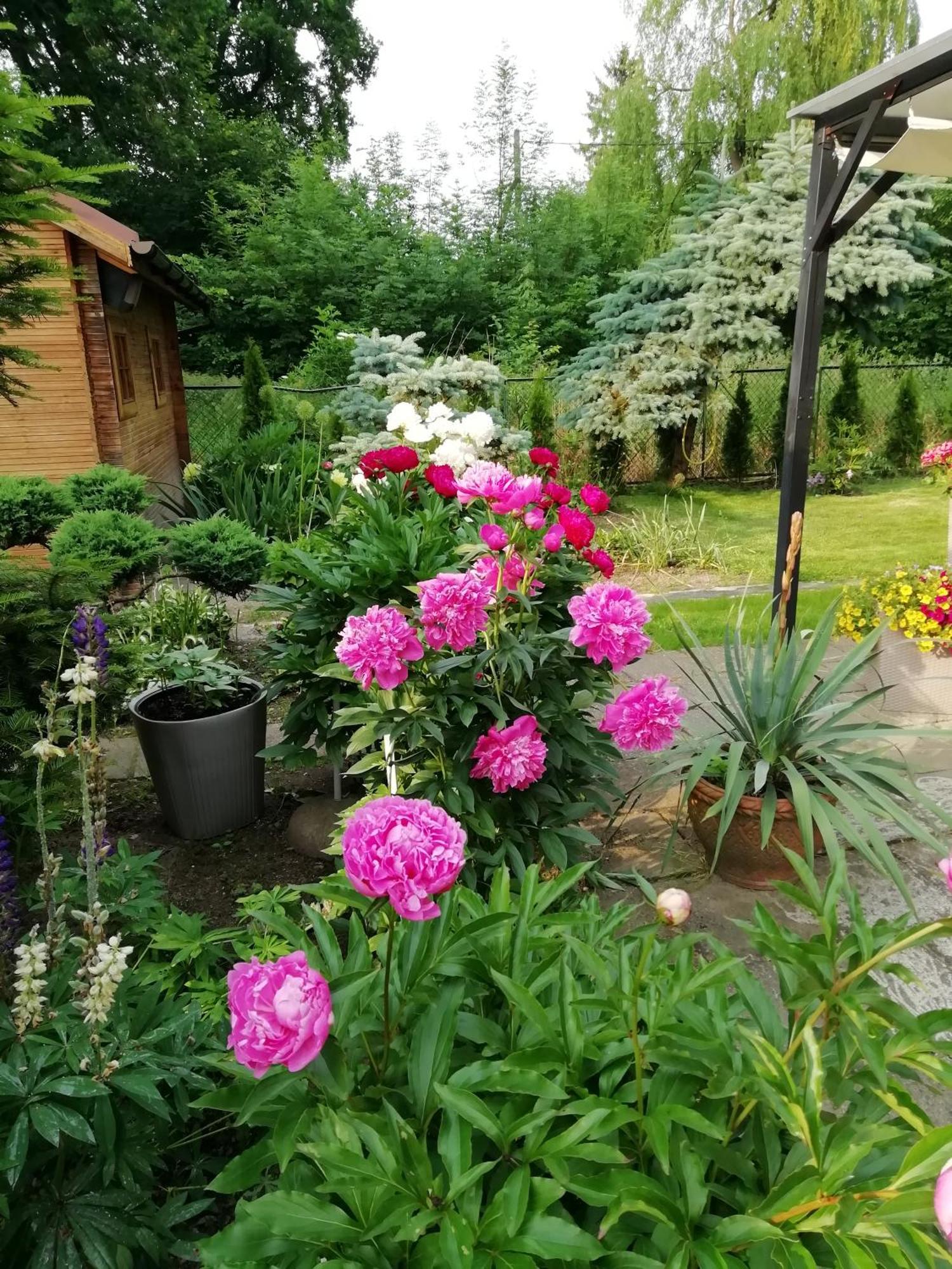Apartament Wlodek Jelenia Gora Exterior photo